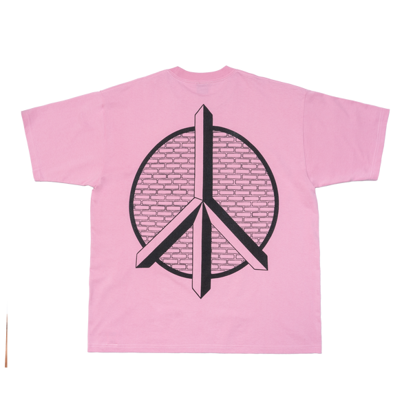Paradise is lost Pink DSM Limited