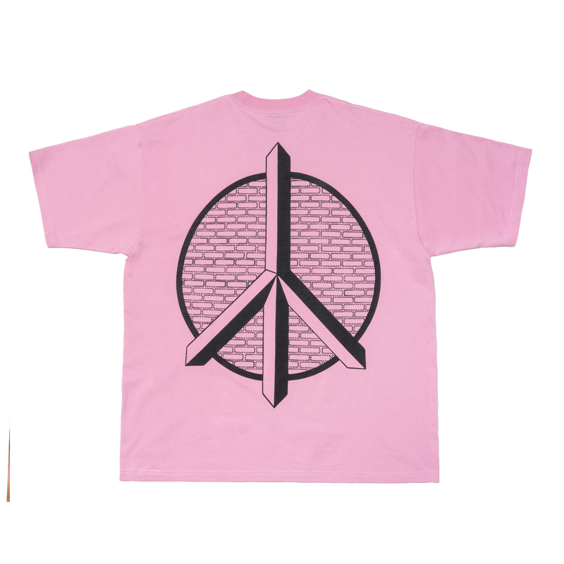 Paradise is lost Pink DSM Limited